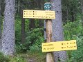IMG_0024c_0100