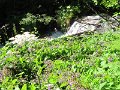 IMG_0028