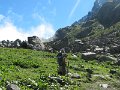 IMG_0049