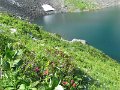 IMG_0053