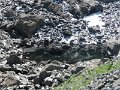 IMG_0058