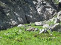 IMG_0062