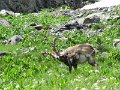 IMG_0063