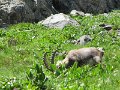 IMG_0064