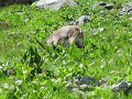 IMG_0065