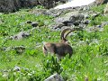 IMG_0066