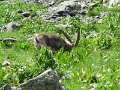 IMG_0067