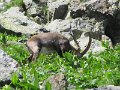 IMG_0068