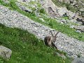 IMG_0069
