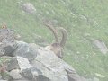 IMG_0082