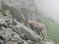 IMG_0083