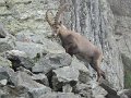 IMG_0085