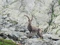 IMG_0088