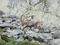 IMG_0089