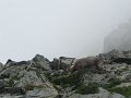 IMG_0090