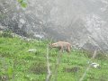 IMG_0091