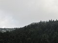 IMG_0001
