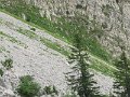 IMG_0005