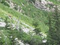 IMG_0007