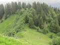 IMG_0009