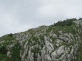 IMG_0016