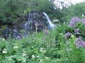 IMG_0003