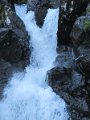 IMG_0007