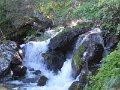 IMG_0009