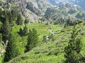 IMG_0018