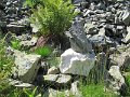 IMG_0024