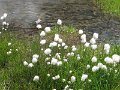IMG_0034