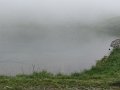 IMG_0037