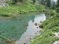 IMG_0051