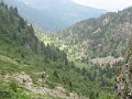 IMG_0056