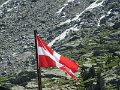IMG_0181