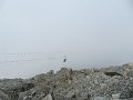 IMG_0225