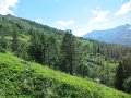 IMG_0238