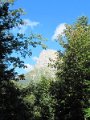 IMG_0006