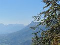 IMG_0021