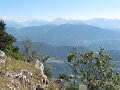 IMG_0022