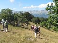 IMG_0024