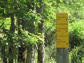 IMG_0049