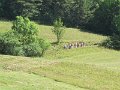 IMG_0053