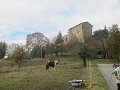 IMG_0006