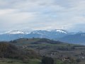 IMG_0025