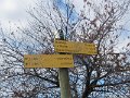 IMG_0028