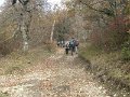 IMG_0029