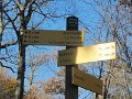 IMG_0036