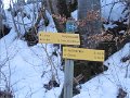 IMG_0007