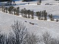 IMG_0008